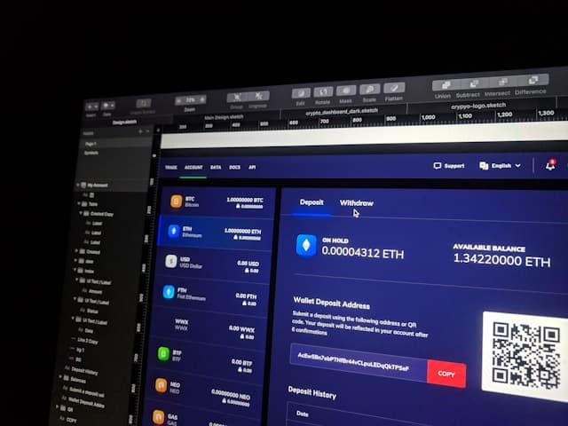 Web Application